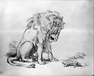 León y tortuga
